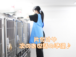 ドッグパークルームのお世話！